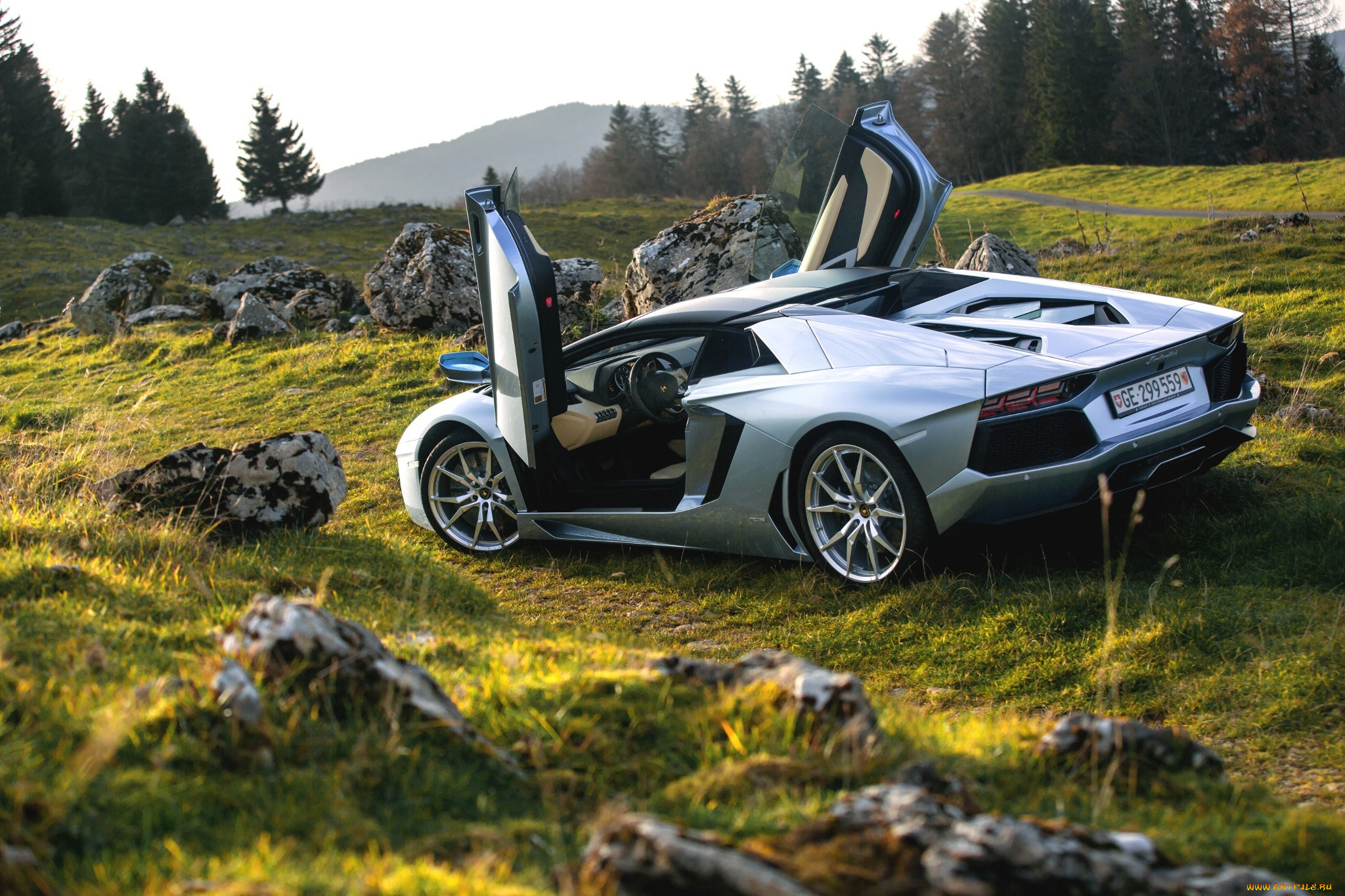 , lamborghini, supercars, roadster, lp700-4, aventador, rear, nature, door, silver